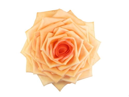 Róża Piankowa śred. 35cm - kolory