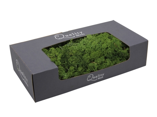 Chrobotek Mech Ekologiczny 500g – Zielony