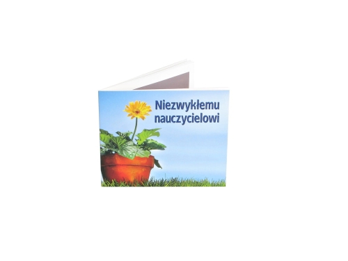 Perełka Niezwykłemu Nauczycielowi 
