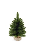 Choinka Jodła w Donicy z Jutą Wycinka - 45 cm