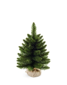 Choinka Jodła w Donicy z Jutą Wycinka - 45 cm