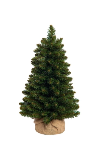 Choinka Jodła w Donicy z Jutą Wycinka  - 60cm 