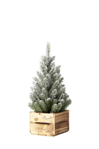 Choinka w Skrzyni Ontario Śnieżona 65cm