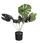 Sztuczna Monstera w Doniczce 45cm - Zielony