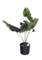 Sztuczna Monstera w Doniczce 45cm - Zielony