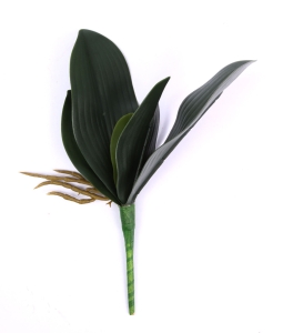 Liść Storczyka 27cm - Zielony