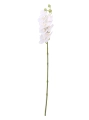 Storczyk Silikonowy 75cm - Biały