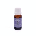 Olejek Eteryczny 7ml - Lawendowy