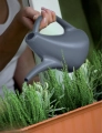 Konewka Plastikowa Eos 1,5L 22,2cm - Antracyt