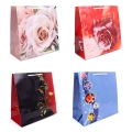 Torebka Prezentowa 23 x 23cm kpl. 10szt B3
