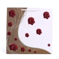 Torebka Prezentowa 23 x 23cm kpl. 10szt B3