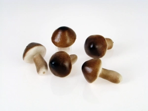 Sztuczne Grzyby Podgrzybki 8cm kpl. 5szt - Brązowy