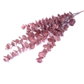 Eukaliptus Sztuczny Gałązka 82cm - 4 kolory