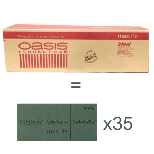 Oasis Gąbka florystyczna Kostka Ideal kpl. 35szt - Zielona