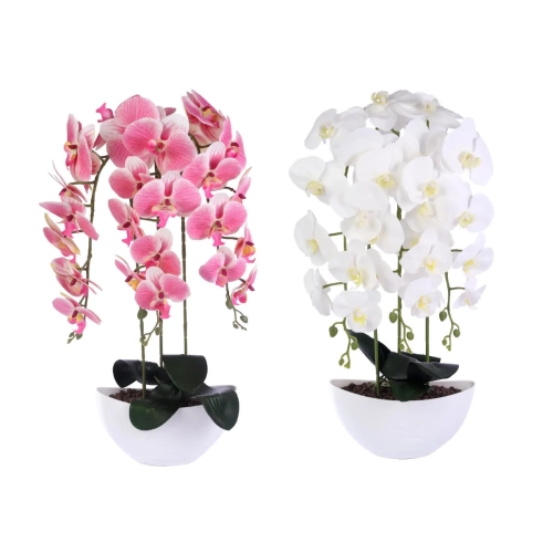 Storczyk w Doniczce 3 Pędy 61cm Keramzyt - 3 kolory