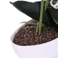 Storczyk w Doniczce 3 Pędy 61cm Keramzyt - 3 kolory