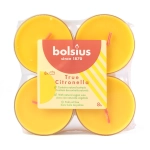 Świeczki Podgrzewacze Maxi kpl. 8szt - True Citronella