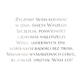 Kartka Okolicznościowa Ślub DL LUX DG - 2 wzory