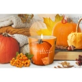 Świeca Zapachowa w Szkle 115g - Pumpkin Season