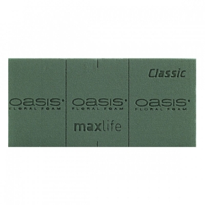 Oasis Gąbka florystyczna Kostka Classic - Zielony