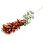 Ostróżka Sztuczna 83cm - Brązowy