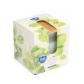 Świeca Zapachowa w Szkle 160g - Ziołowy Ogród