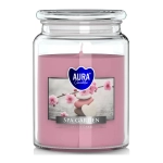 Świeca Zapachowa w Słoiku Duża 500g - Ogród SPA