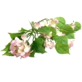 Hortensja Sztuczna Bukiet Wiszący 50cm - Jasny Różowy