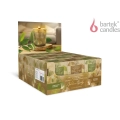 Świeca Zapachowa w Szkle Golden Gingko 150g - 2 wzory