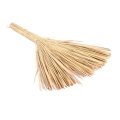 Miotełka Dekoracyjna z Trawy Cogon 35cm - Naturalny