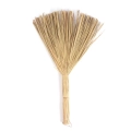 Miotełka Dekoracyjna z Trawy Cogon 35cm - Naturalny