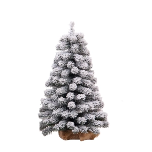 Choinka Jodła w Donicy z Jutą Śnieżona - 75cm