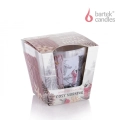 Świeca Zapachowa w Szkle Warm & Cosy Home 115g - 2 wzory