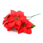 Gwiazda Betlejemska Bukiet 50cm - Czerwony