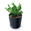 Doniczka Plastikowa Furu Round z Wkładem 25x24cm - Antracyt
