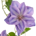 Clematis Sztuczny Fioletowy Gałązka 78cm 