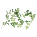 Bluszcz Sztuczny Girlanda 220cm - Zielony