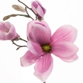 Magnolia Sztuczna Gałązka 43cm - Różowy
