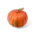 Dekoracyjna Jesienna Dynia 16cm - Pomarańczowy