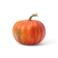 Dekoracyjna Jesienna Dynia 16cm - Pomarańczowy