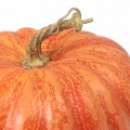 Dekoracyjna Jesienna Dynia 23cm - Pomarańczowy