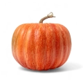 Dekoracyjna Jesienna Dynia 23cm - Pomarańczowy