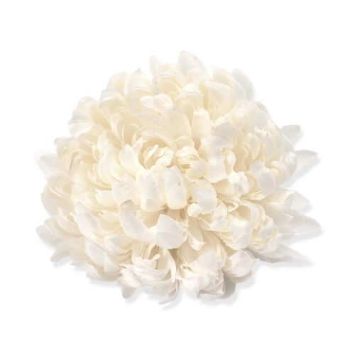 Chryzantema Główka Wyrobowa 12cm kpl. 12cm - Biały