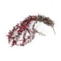 Eukaliptus Sztuczna Gałązka Wisząca 100cm - Zielony/Bordowy