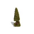 Choinka Mini Tree Moss 18cm