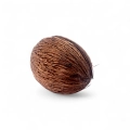 Susz Dekoracyjny Mintola kpl. 6szt - Naturalny