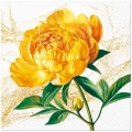 Serwetki PAW Kwiaty 33x33cm kpl. 20szt - 4 wzory