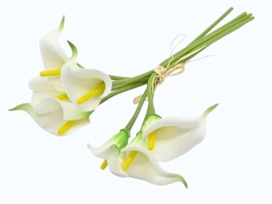 Kalia Sztuczna Biała 36cm kpl. 7szt