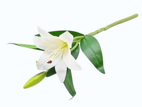 Lilia Sztuczna Biała 38cm