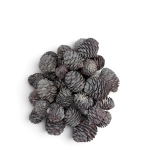 Susz Szyszki Muirri Naturalne Bielone 250g 